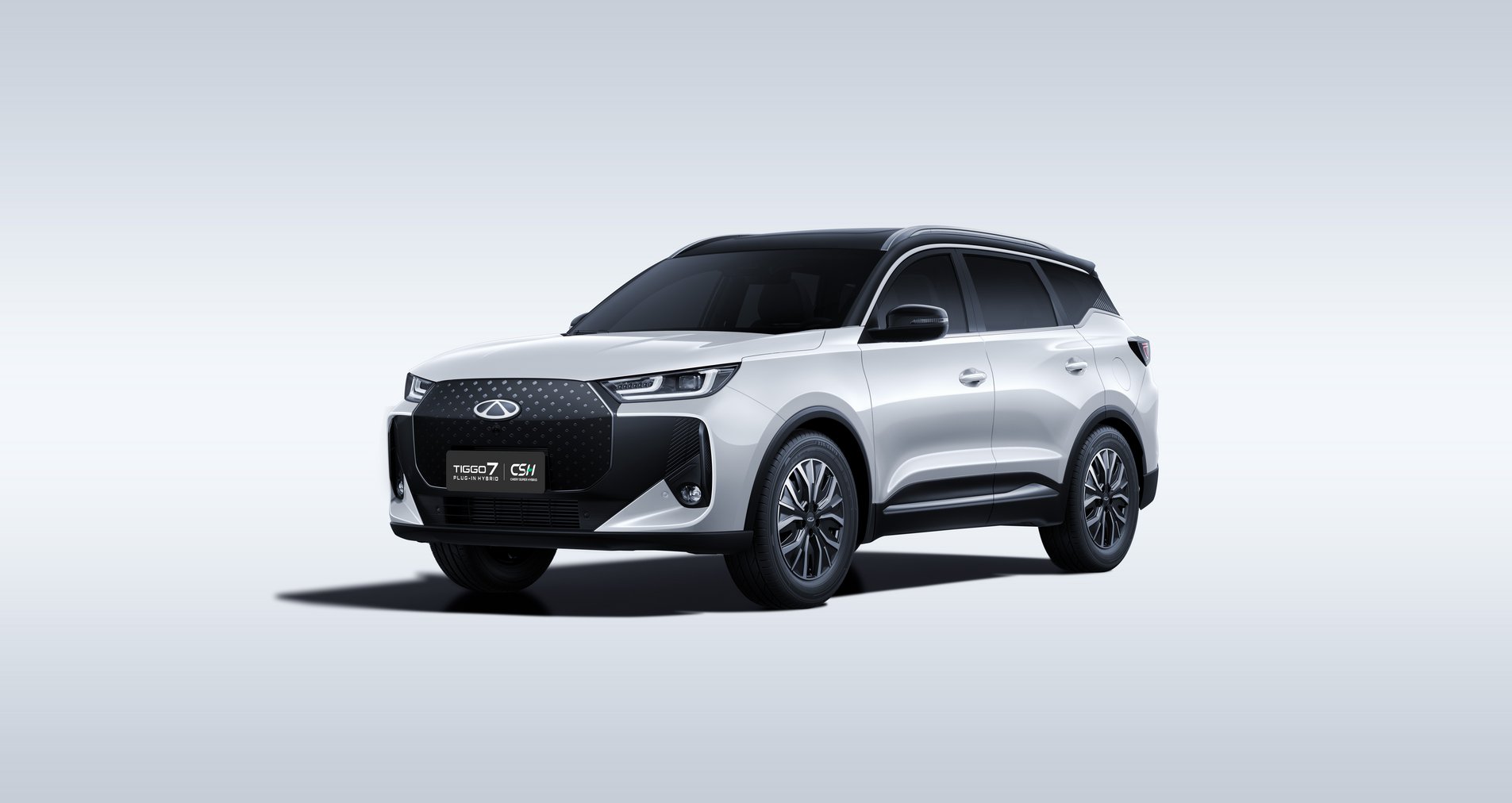 PEARL WHITE / CZARNY DACH